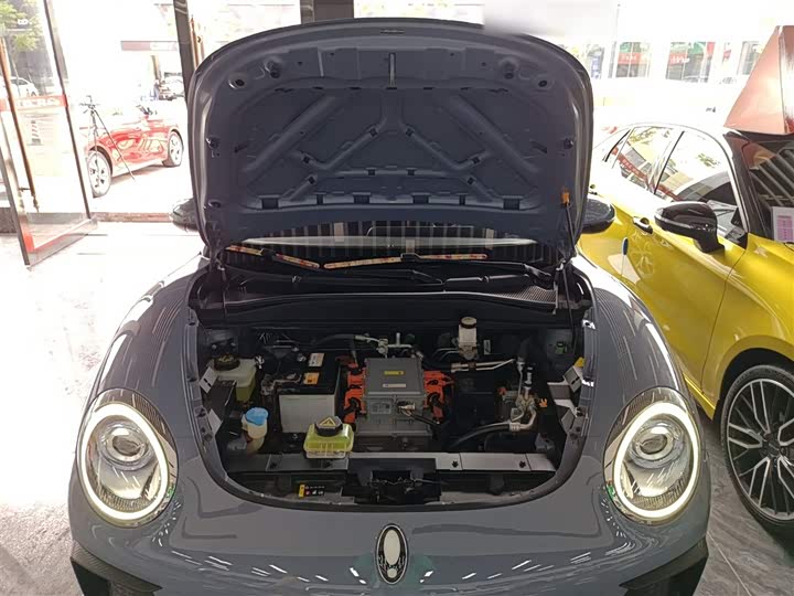 Фото 20 - Ora Good Cat GT (03 GT)