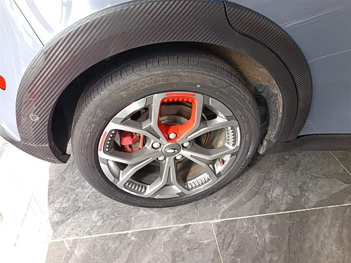 Фото 26 - Ora Good Cat GT (03 GT)