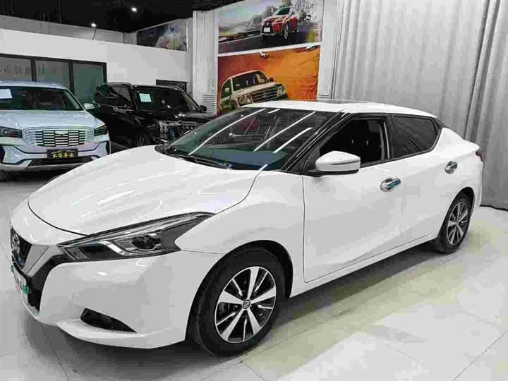 Фото 1 - Nissan Lannia