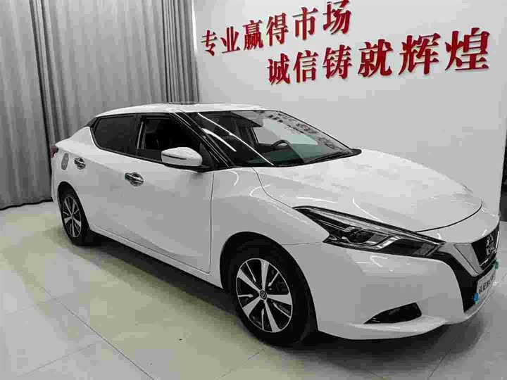 Фото 2 - Nissan Lannia