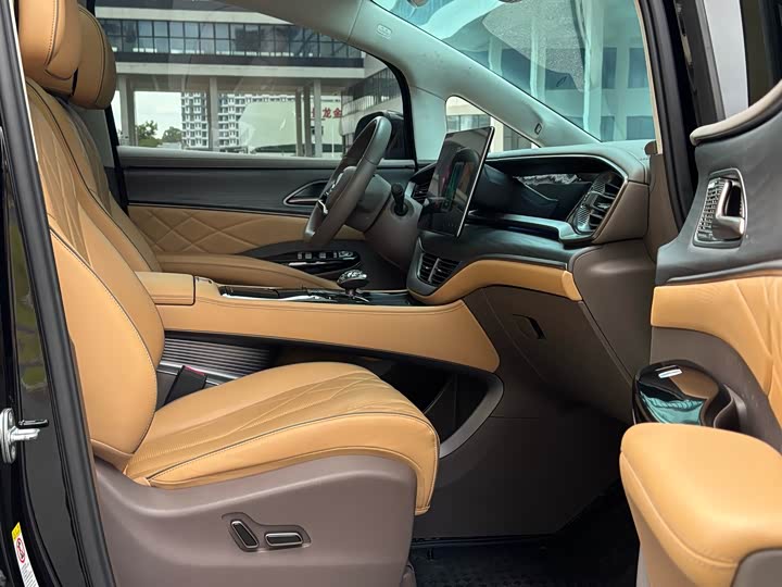 Фото 15 - Denza D9