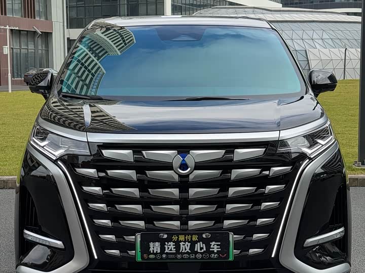 Фото 2 - Denza D9