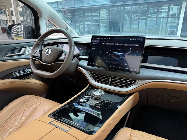 Фото 20 - Denza D9