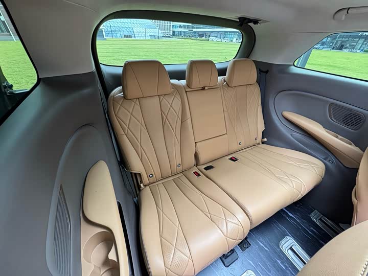 Фото 21 - Denza D9