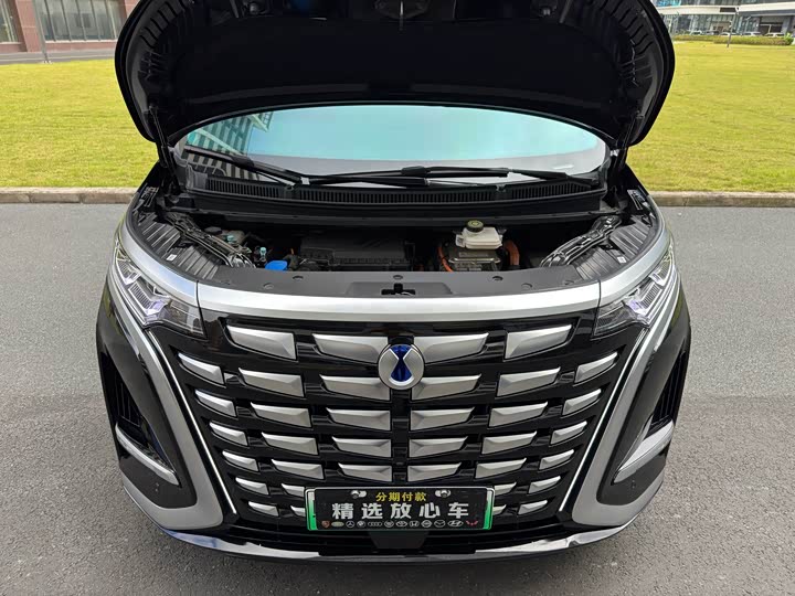 Фото 25 - Denza D9