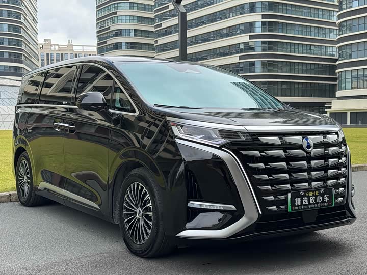 Фото 3 - Denza D9