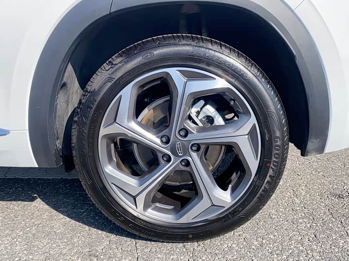 Фото 22 - Geely Monjaro