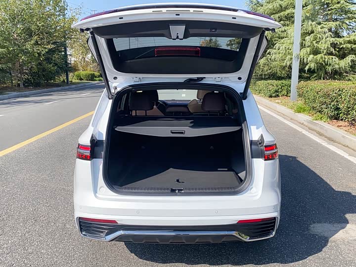 Фото 23 - Geely Monjaro