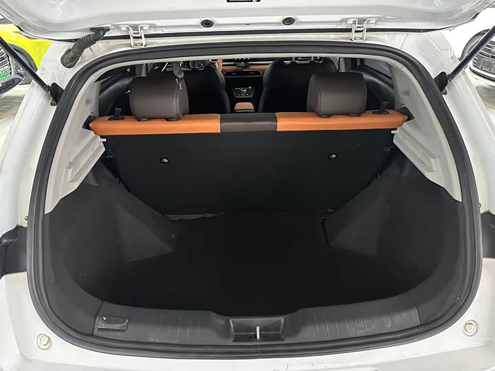 Фото 19 - BYD E2