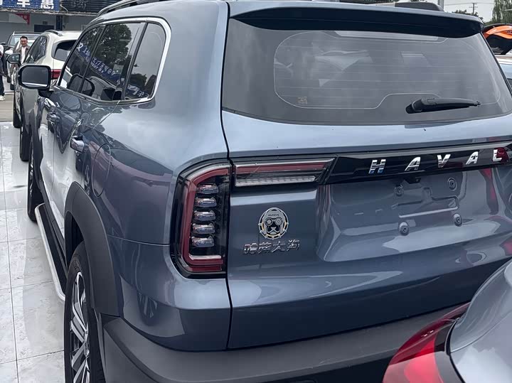 Фото 4 - Haval Dargo