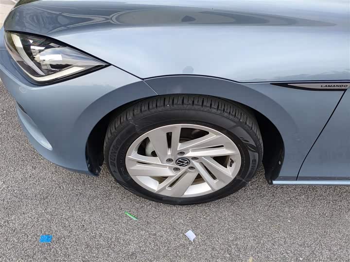 Фото 23 - Volkswagen Lamando L