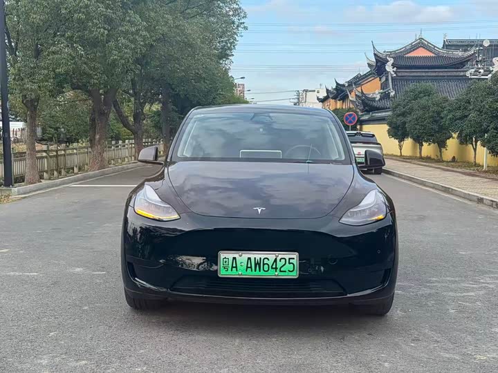 Фото 2 - Tesla Model Y