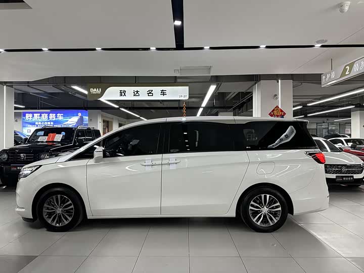 Фото 10 - Buick GL8 ES