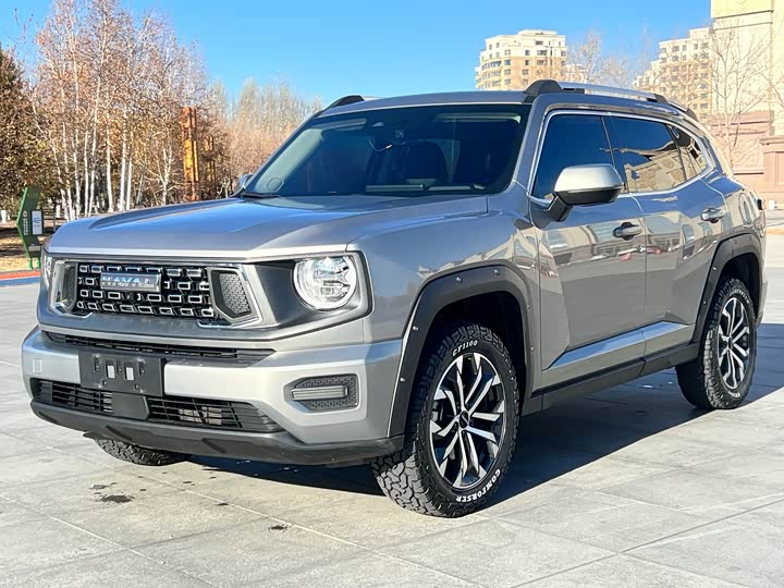 Фото 1 - Haval H-Dog