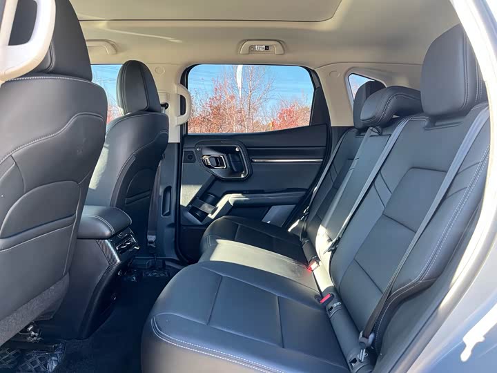 Фото 6 - Haval H-Dog