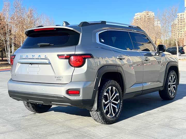 Фото 7 - Haval H-Dog