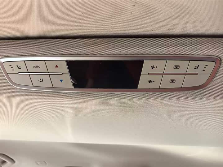 Фото 10 - Hongqi HQ9 Hybrid