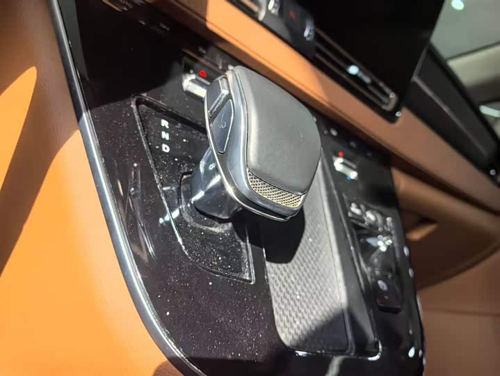 Фото 12 - Hongqi HQ9 Hybrid