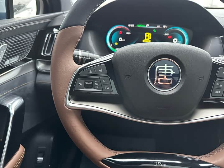 Фото 25 - BYD Tang Hybrid/EV