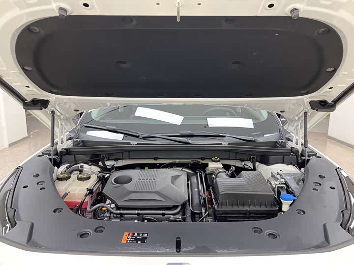 Фото 21 - Roewe D5X DMH