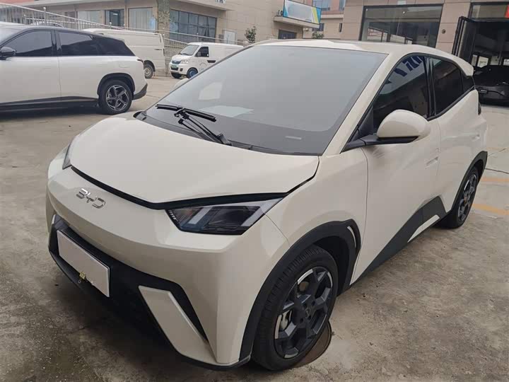 Фото 1 - BYD Seagull