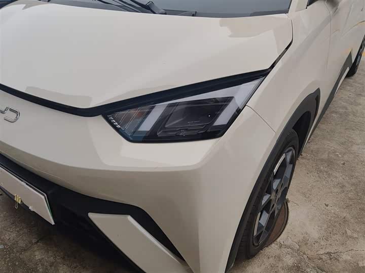 Фото 24 - BYD Seagull