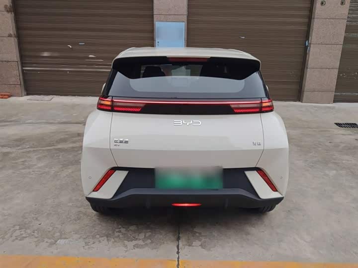 Фото 6 - BYD Seagull