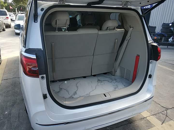 Фото 19 - Buick GL8 ES