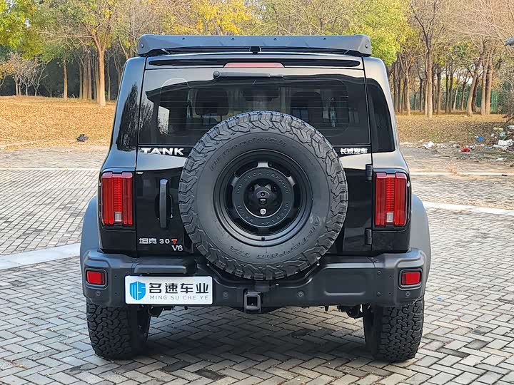 Фото 13 - Tank 300