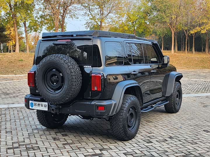 Фото 14 - Tank 300