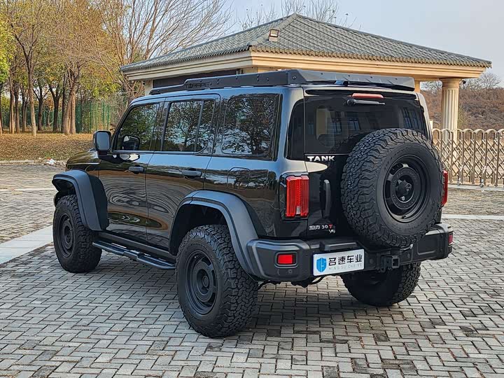 Фото 15 - Tank 300