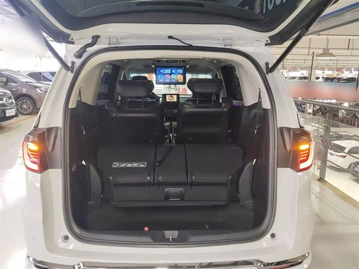 Фото 19 - Honda Elysion