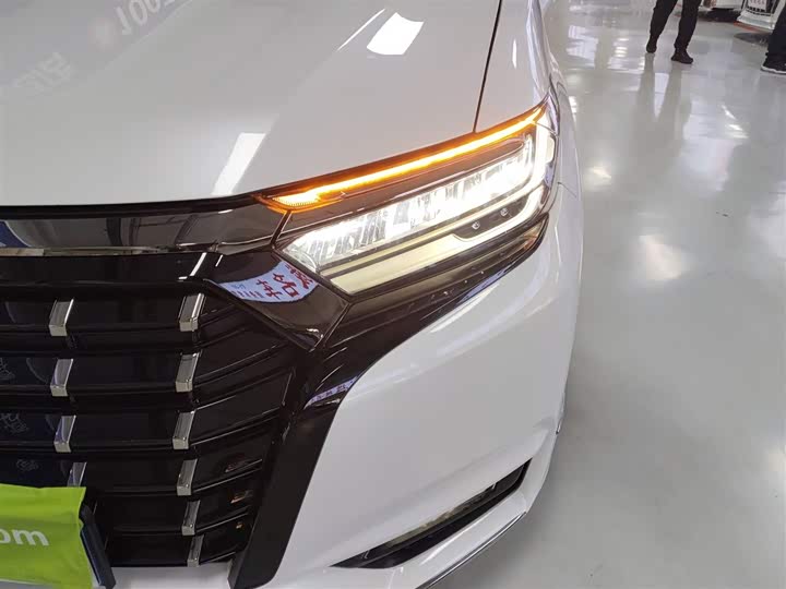 Фото 24 - Honda Elysion