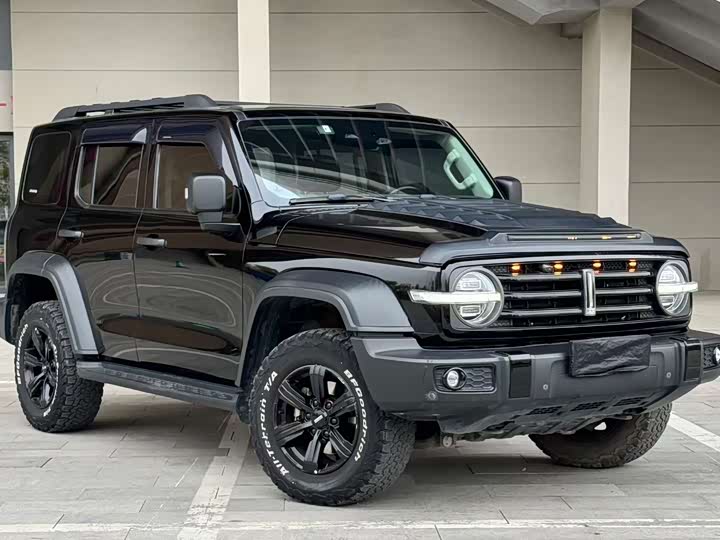 Фото 3 - Tank 300