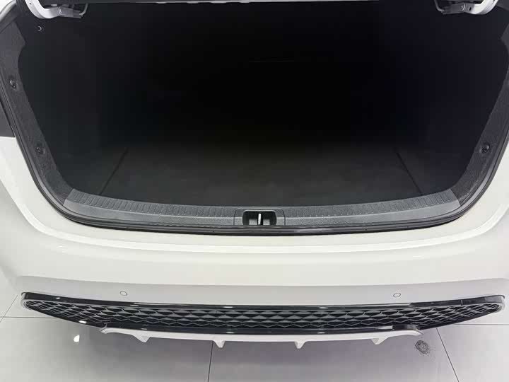 Фото 19 - Toyota Levin