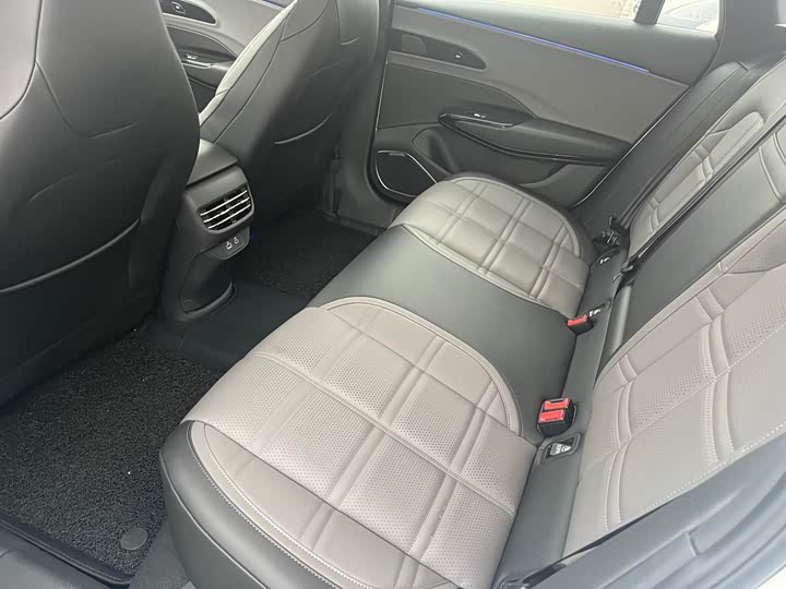 Фото 6 - Hongqi EH7