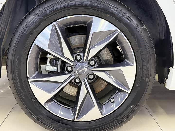 Фото 19 - GAC Trumpchi M6