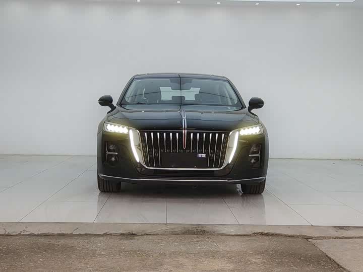 Фото 2 - Hongqi H5