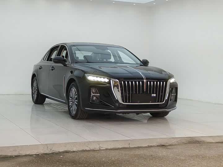 Фото 3 - Hongqi H5