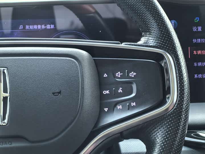 Фото 20 - Lincoln Z (Zephyr)