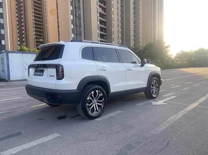 Фото 2 - Haval Dargo