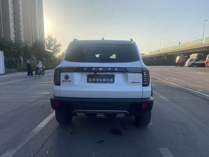 Фото 6 - Haval Dargo