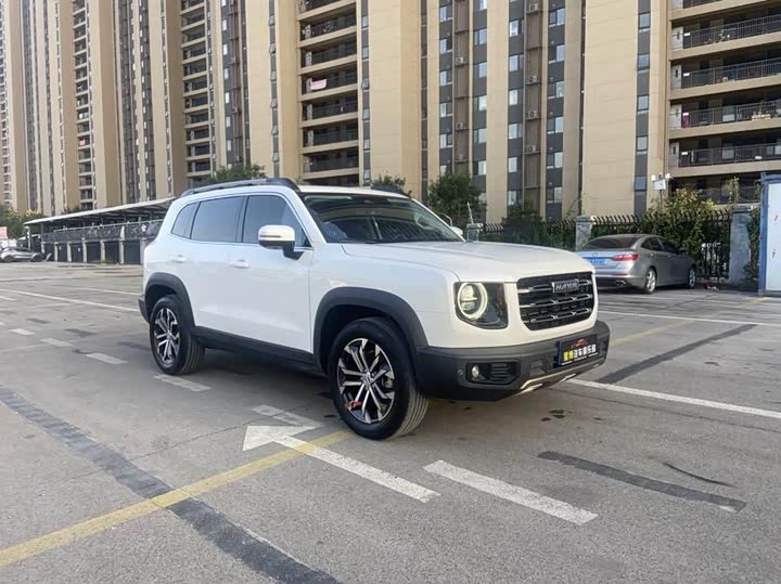 Фото 7 - Haval Dargo