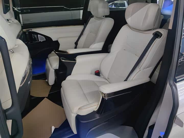 Фото 9 - GAC Trumpchi E9