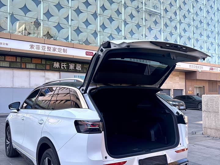 Фото 18 - Volkswagen Tavendor