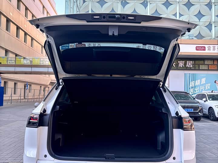 Фото 19 - Volkswagen Tavendor