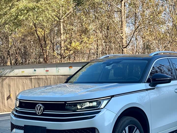 Фото 2 - Volkswagen Tavendor