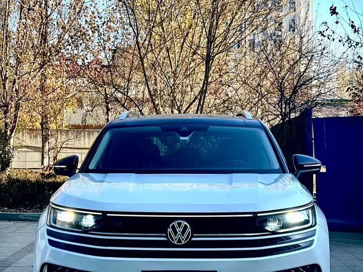 Фото 3 - Volkswagen Tavendor