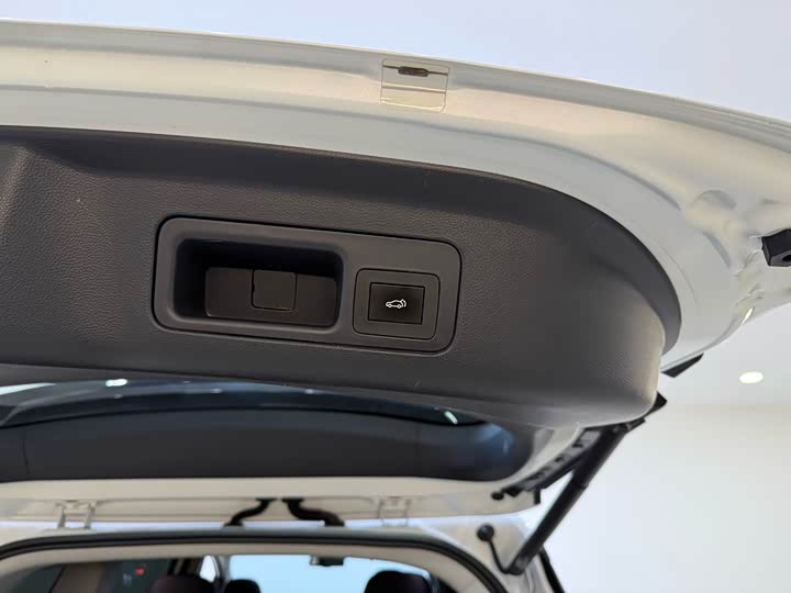 Фото 40 - GAC Trumpchi M8