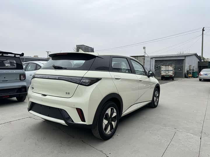 Фото 11 - BYD Dolphin